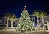 christmas tree at desert color in st. george utah