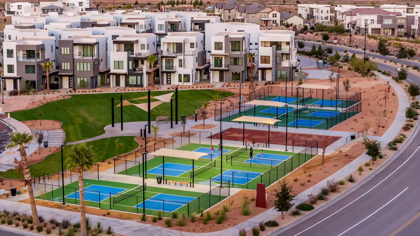 Desert Color Pickleball