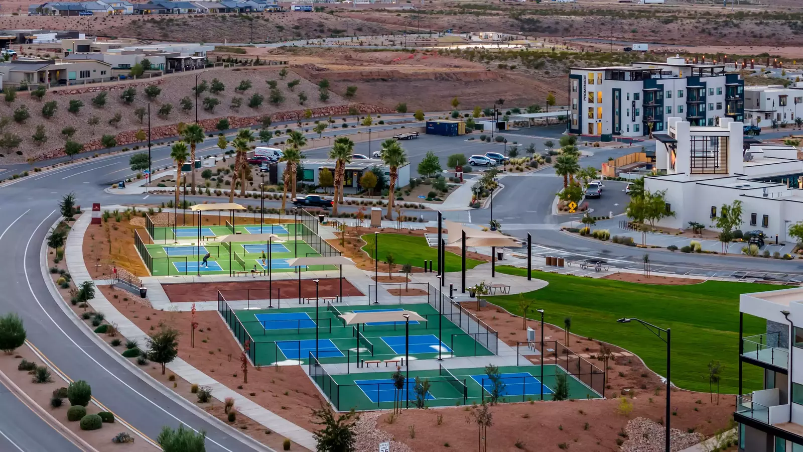 Desert Color Pickleball