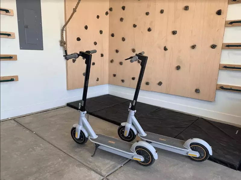 Electric Scooters