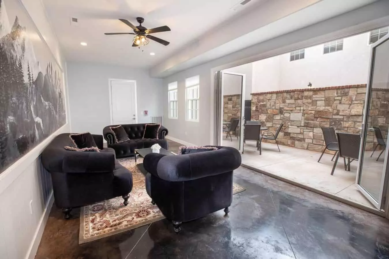 Living Room and Patio