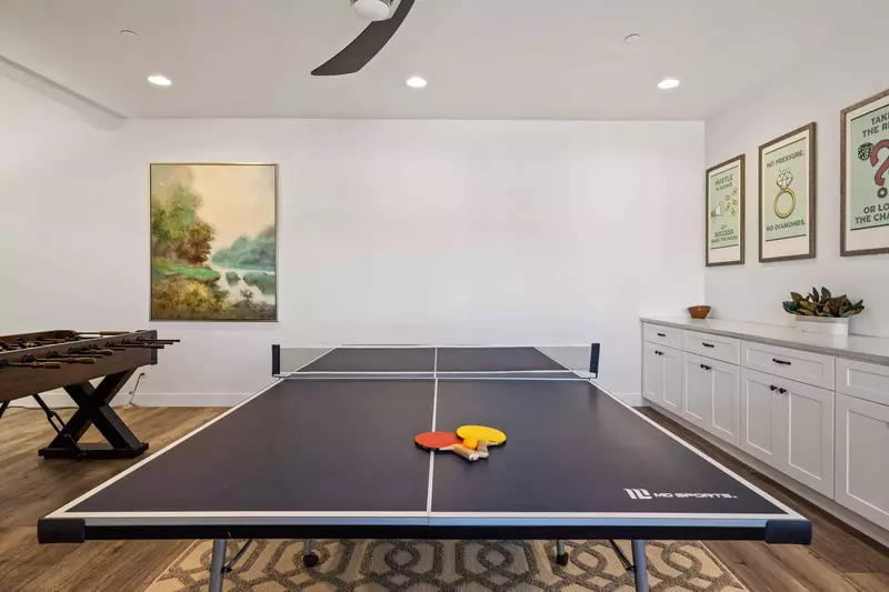 Ping Pong Table