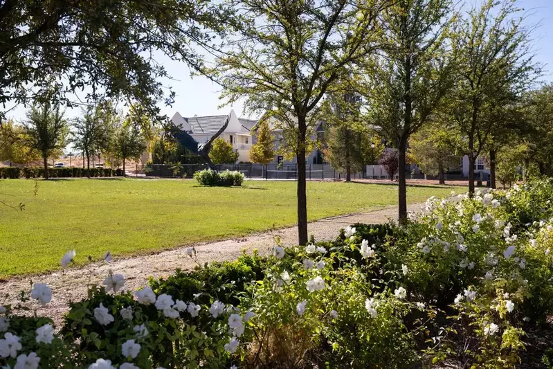 Community Grass Area