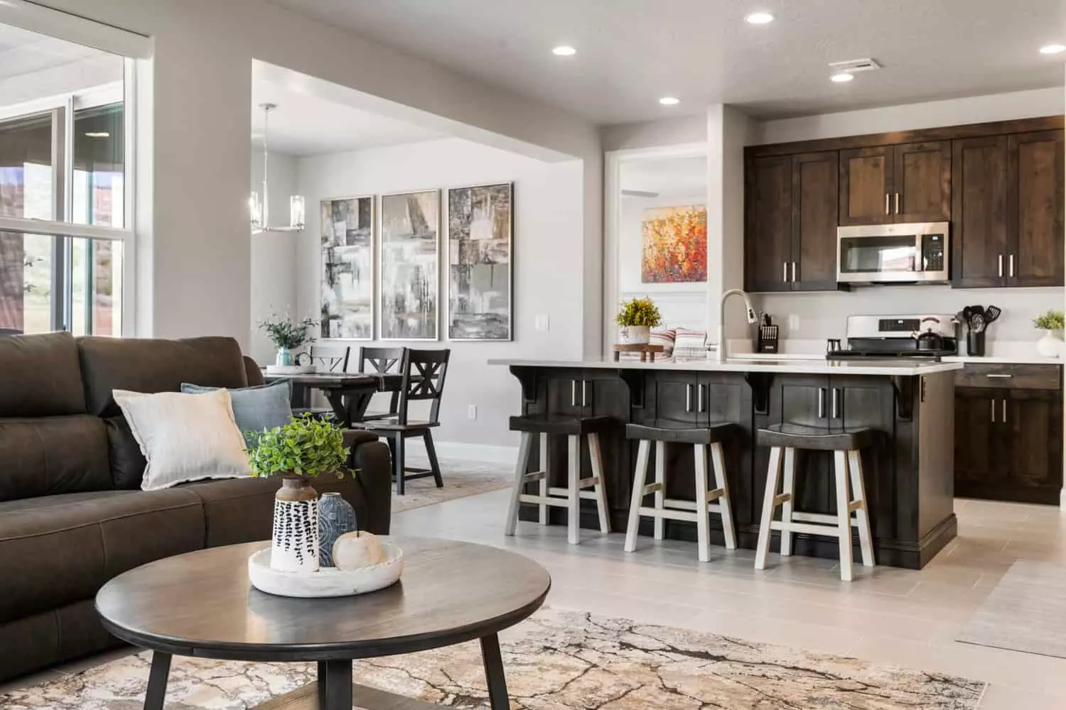 Living Room and Kitchen Area