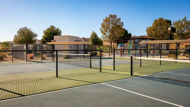 Community Pickleball Courts Area