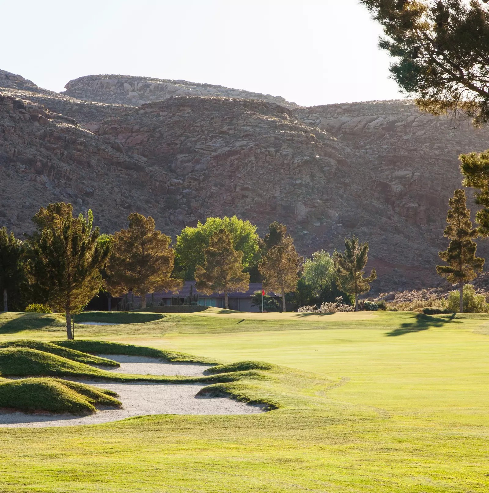 Golf Course View