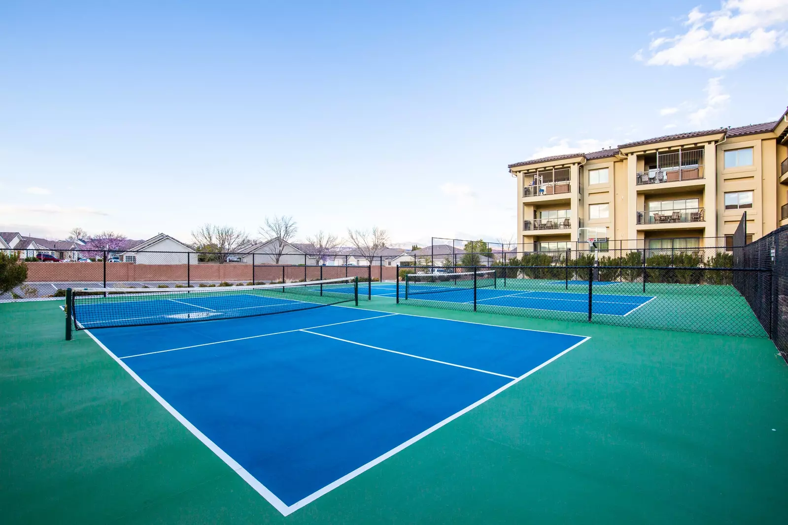 Community Pickleball Courts