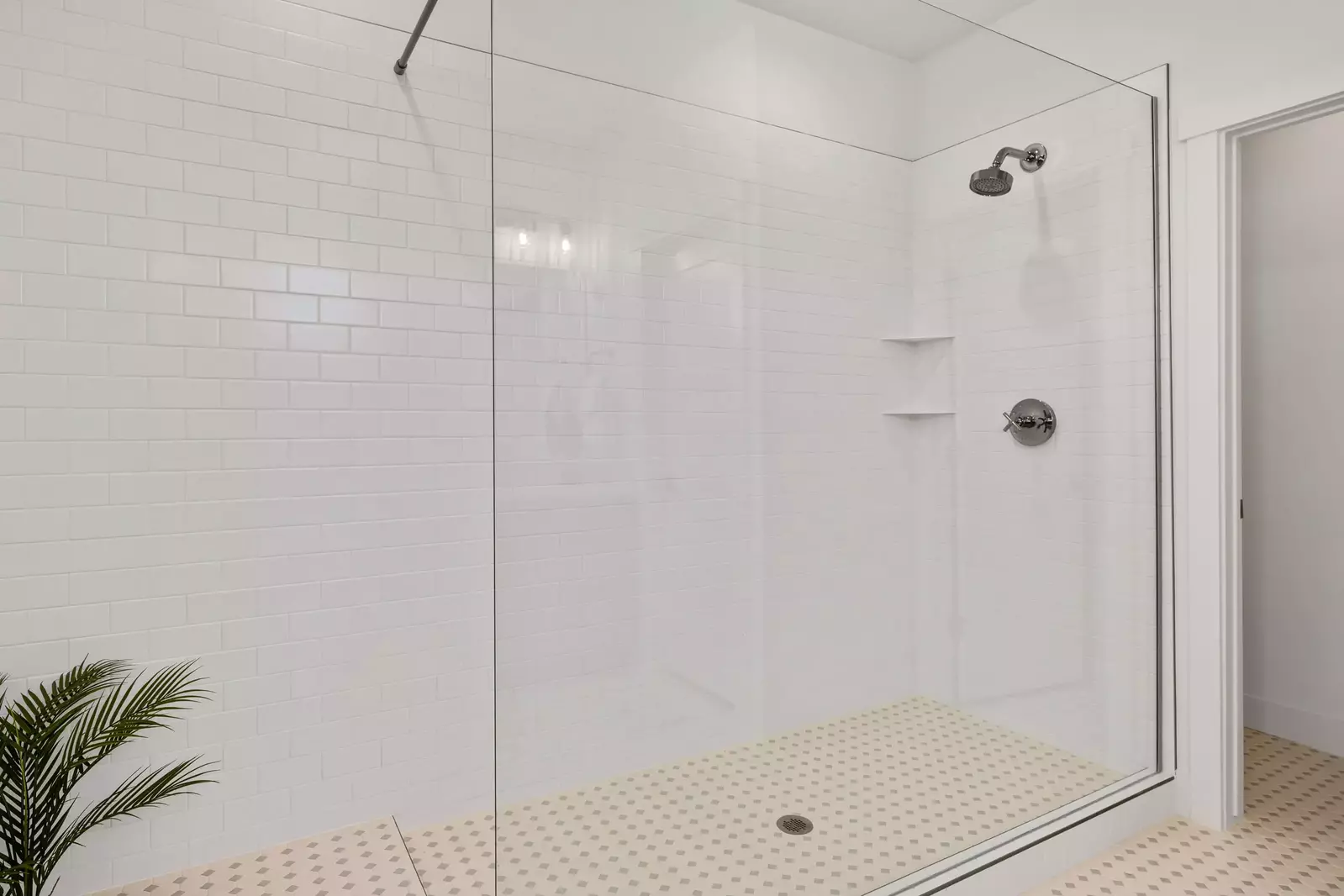 Walk-In Shower